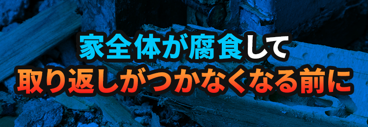家全体が腐食して取り返しがつかなくなる前に